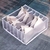 ORGANIZADOR PARA ROPA INTERIOR (6 DIVISIONES) en internet