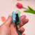 CLIP PROTECTOR DE CEPILLO X 5 UNIDADES en internet