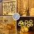 CORTINA DE LUCES DE ALAMBRE 3X2 M CON CONTROL REMOTO - MUNDO GIFT