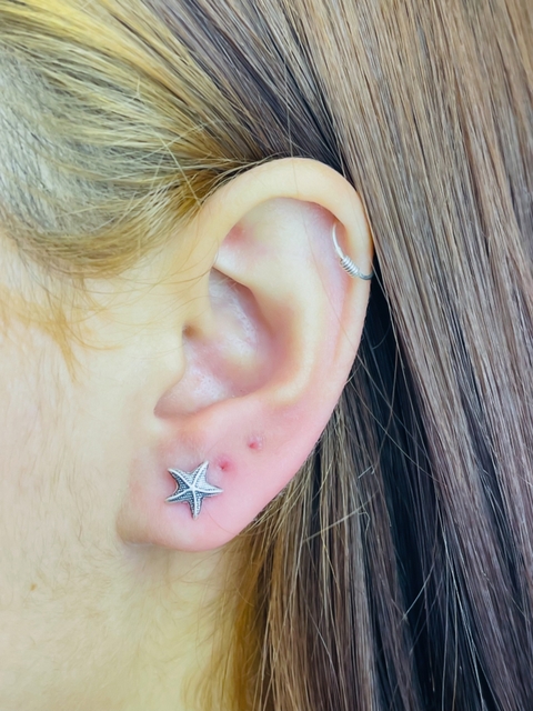 Brinco Estrela do mar