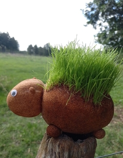 carpincho germinador