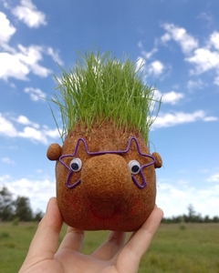 cara de papa germinador