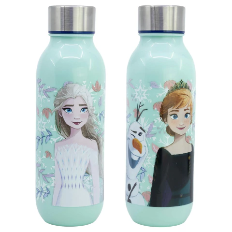 Bazar Disney Frozen 1516 Botella 640ml Discovery Large PP - comprar online