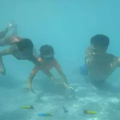 Swinmways 88015 - Pack x4 Torpedos p/lanzar bajo el agua en internet