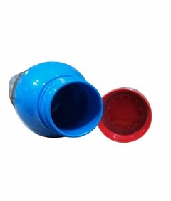 -Bazar Pokemon 1521 Botella 640ml Discovery Large PP - tienda online