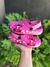 Crocs Angel Rosa 17 ao 32 na internet