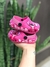 Crocs Angel Rosa 17 ao 32 - comprar online