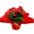 KALANCHOE - comprar online