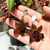 CR Floral Immerse - comprar online