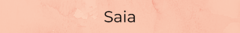 Banner da categoria Saia