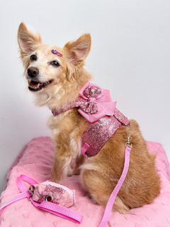 Peitoral Glamour Paetês Rosa - comprar online