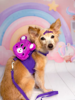 Peitoral Mochilinha Ursinho Amoroso Roxo - comprar online