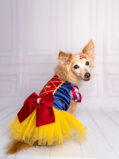 Vestido Branca de Neve - comprar online