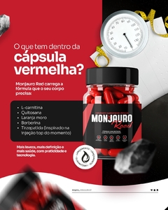 PRÉ VENDA MONJAURO REED (envio 13/10) - Maya_vidasaudavel