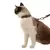 Imagem do Peitoral H de Gato + Guia