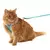 Conjunto Peitoral e Guia para Gatos