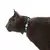 Imagem do Coleira de Gato - Colar
