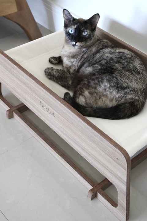 Rede Ma'at - de Chão