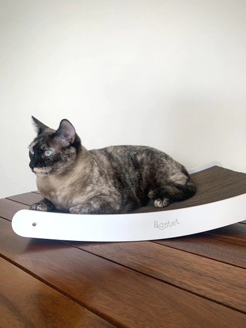 Coleção Hera II - Balanço