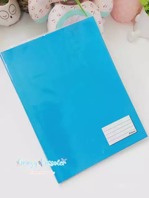 Capa Plástica para Caderno Brochurão (grande)