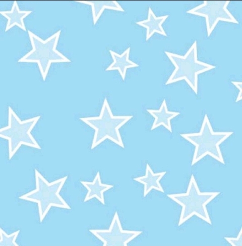 E.VA ESTAMPADO Estrela - MAKE MAIS - comprar online