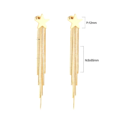 Brinco com Fios Longos elegantes. na internet