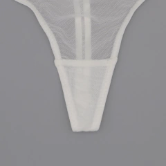 Imagem do Conjunto Lingerie Juliette Feminina Sexy transparente.