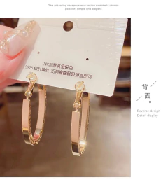 Brinco Gota de Strass, Brinco de Strass Edyth. - loja online