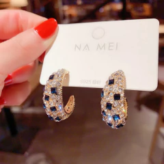 Imagem do Brinco de Argolinha de Strass, Brinco de Strass Maggie