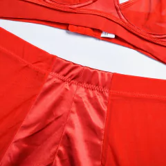 Lingerie Sexy com 5 peças Transparente Melody. - loja online