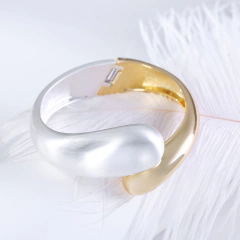 Imagem do Pulseira Bicolor Designer de Jóia de Luxo, Acessórios Femininos