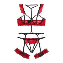 Conjunto de Lingerie Tina com Renda Sexy Erótica. na internet