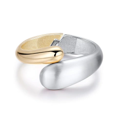 Imagem do Pulseira Bicolor Designer de Jóia de Luxo, Acessórios Femininos