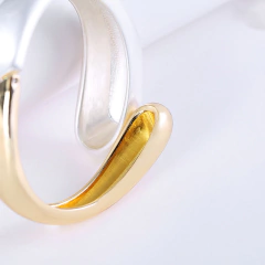 Imagem do Pulseira Bicolor Designer de Jóia de Luxo, Acessórios Femininos