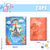 Planner Financeiro - Extraordinary You - comprar online