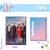 Planner Financeiro - Pousando no Amor (Crash Landing on You) - comprar online