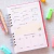 Planner Financeiro - BossNoeul na internet