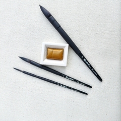 PINCELES PROFESIONALES AQUA BLACK