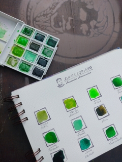 SET "VERDES " en internet
