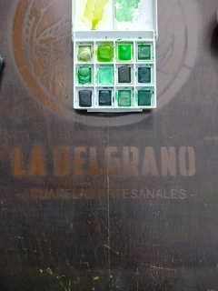 Imagen de SET "VERDES "