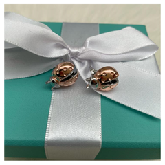 BRINCO LADYBUG