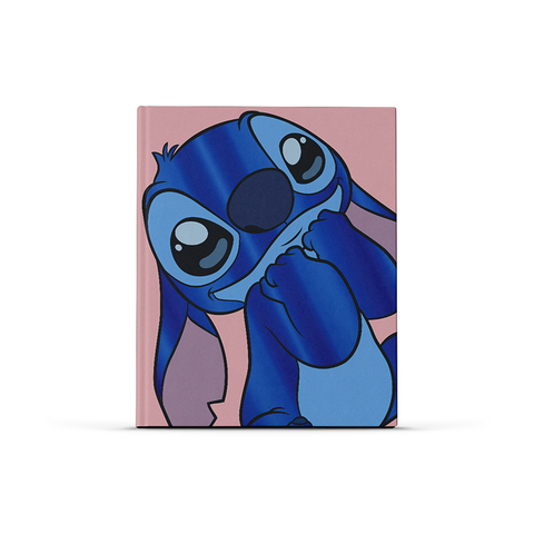 19x24 Cosido 48h “Stitch”