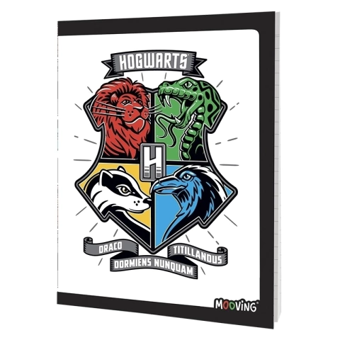 16x21 Tapa Flexible 48h “Harry Potter”