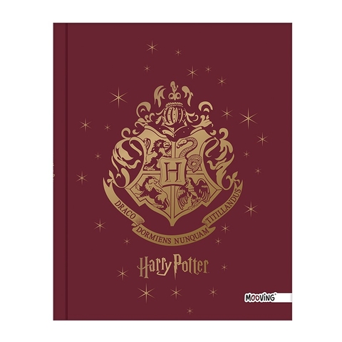 19x24 Cosido 48h “Harry Potter”