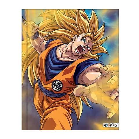 19x24 Cosido 48h “Dragon Ball”