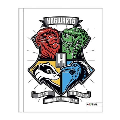 19x24 Cosido 48h “Harry Potter”