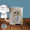 Taza de Cerámica Memes 004