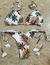 Conjunto Copacabana GG - loja online