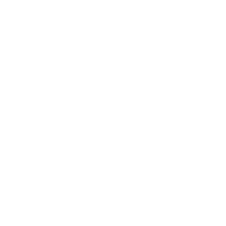 VicSol Store