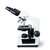 Microscopio Basic Binocular + Camera 5Mp (Kasvi/Laborimport) - loja online